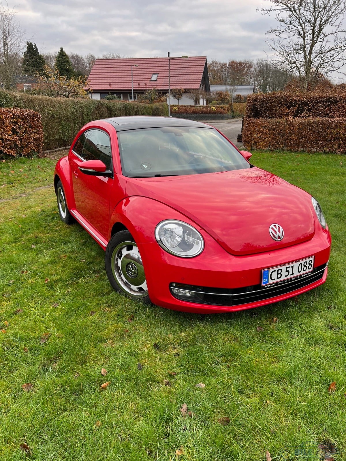 VW the beetle