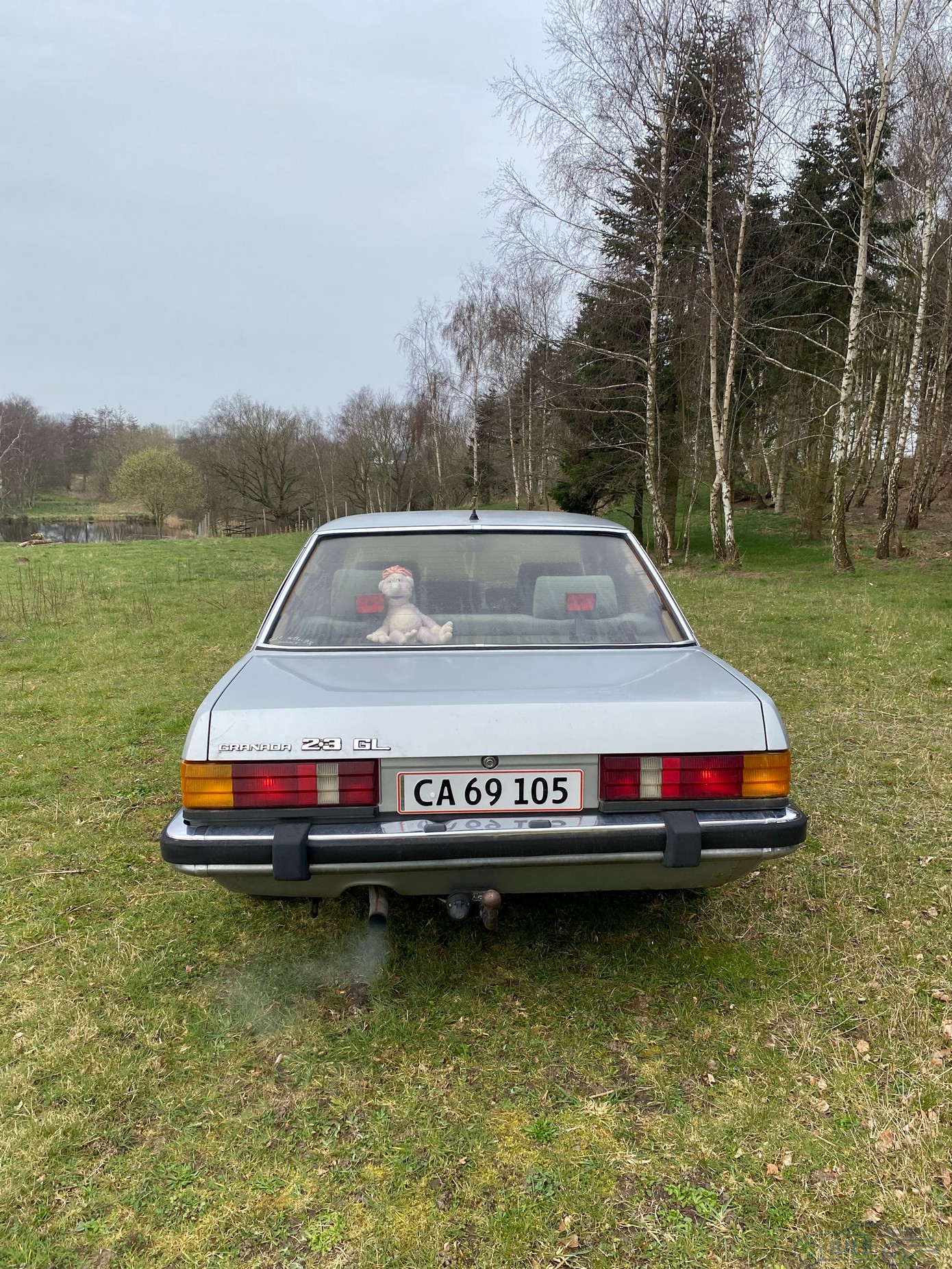 Ford Granada 3