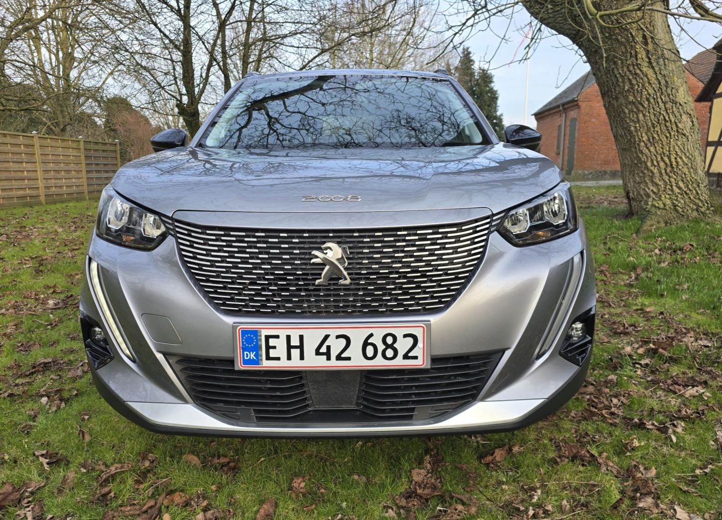 Peugeot e-2008